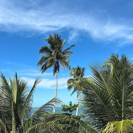 Suites Ventos E Velas Praia Pôrto de Pedras Dış mekan fotoğraf